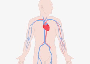 nervous system dysregulation