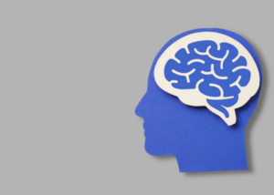 Diorama of the brain